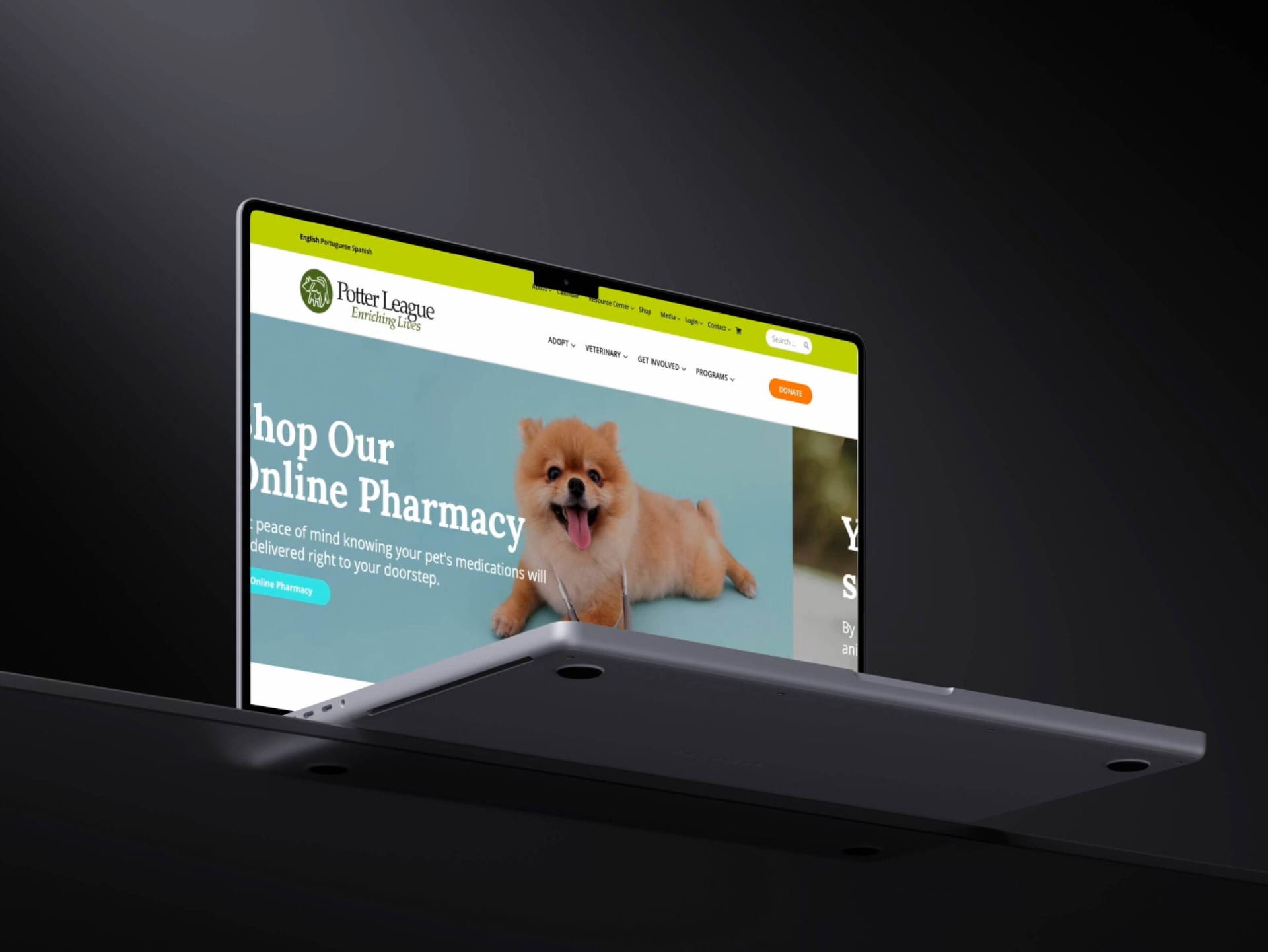 Potter League for Work